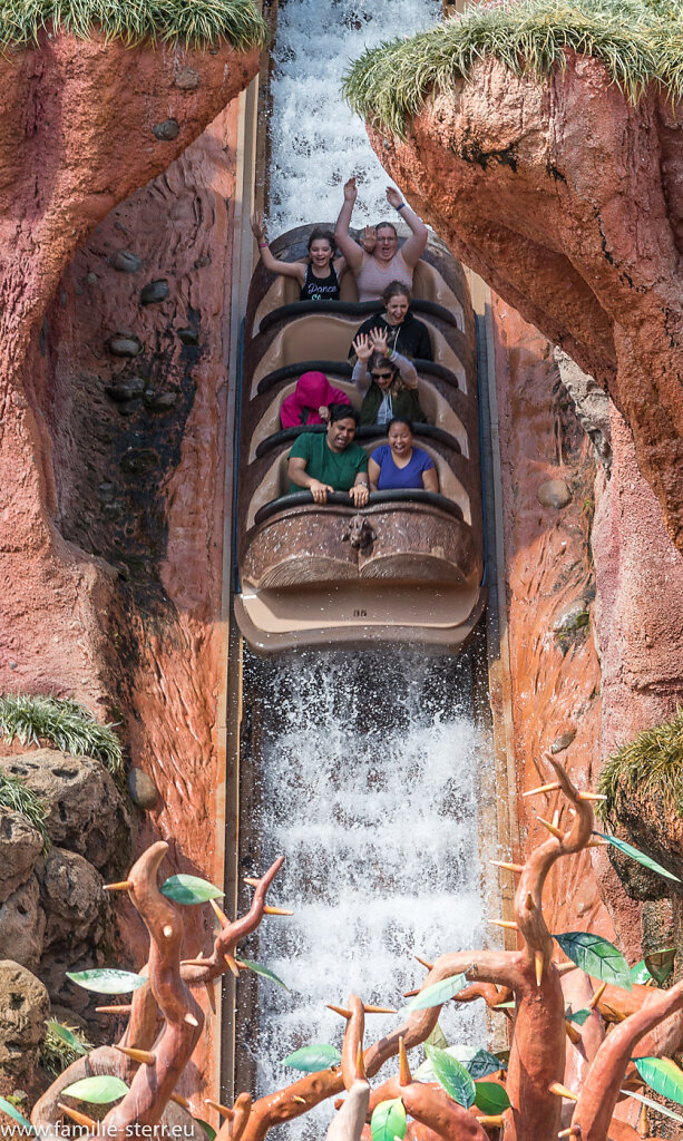 Magic Kingdom