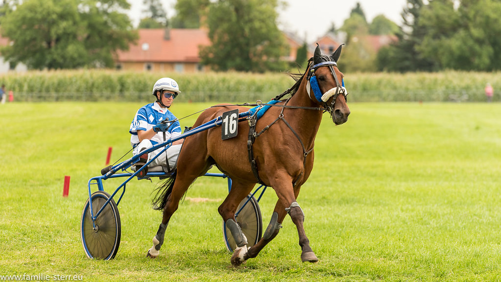 Trabrennen in Erding
