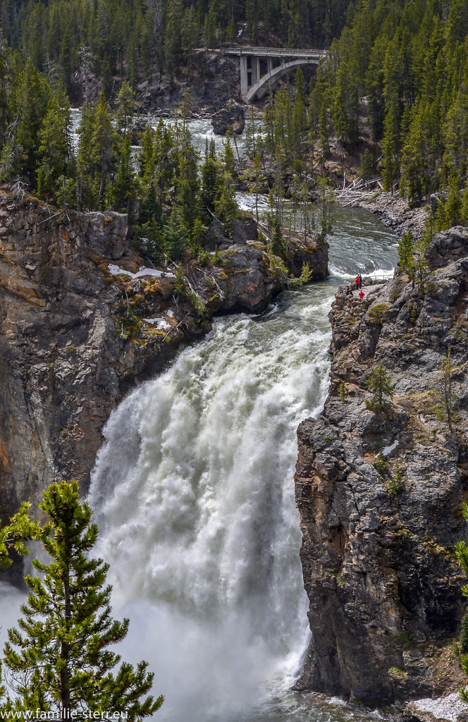 Yellowstone Falls