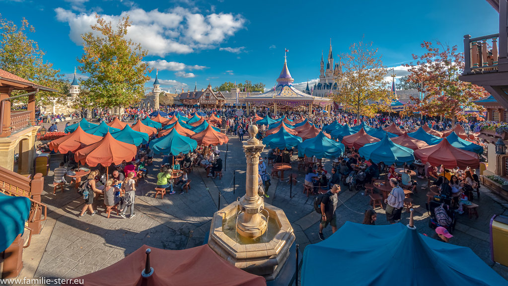 Magic-Kingdom-2018-12-24-354-HDR-Bearbeitet.jpg