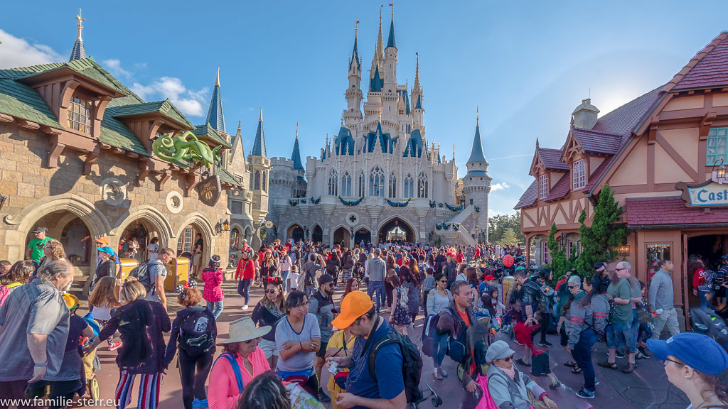 Magic-Kingdom-2018-12-24-384-HDR-Bearbeitet.jpg