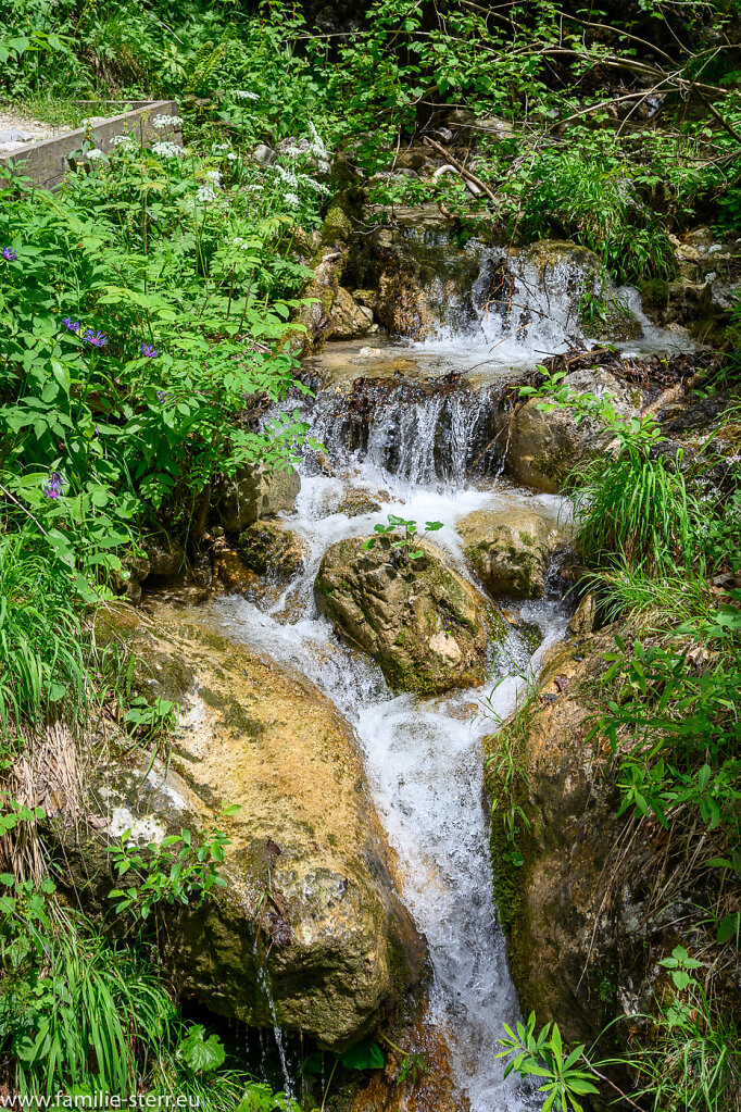 Almbachklamm