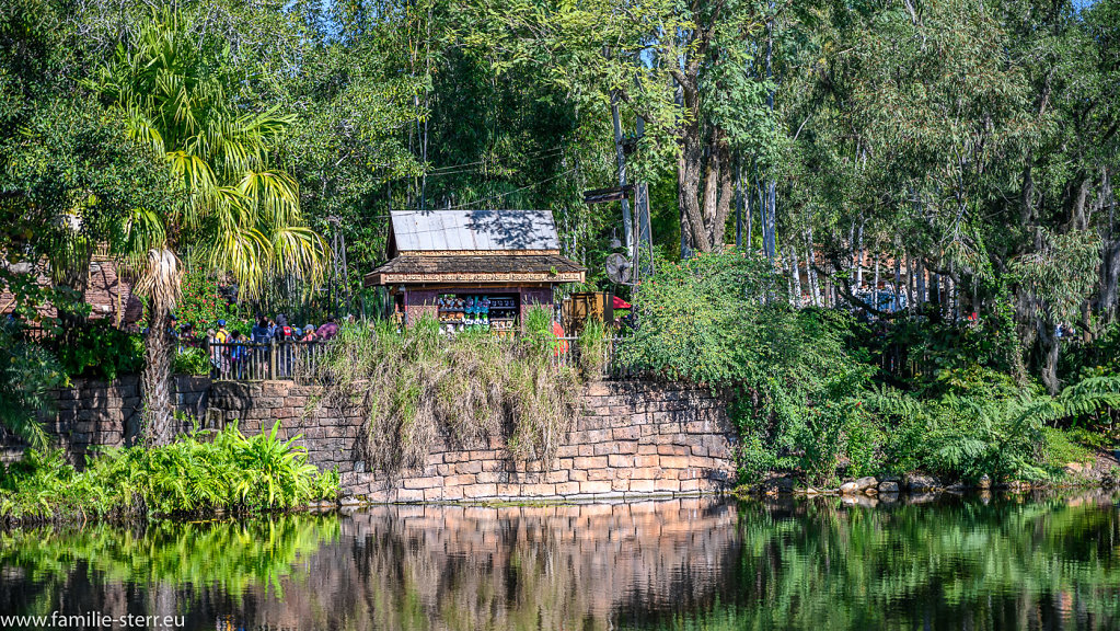 Animal Kingdom